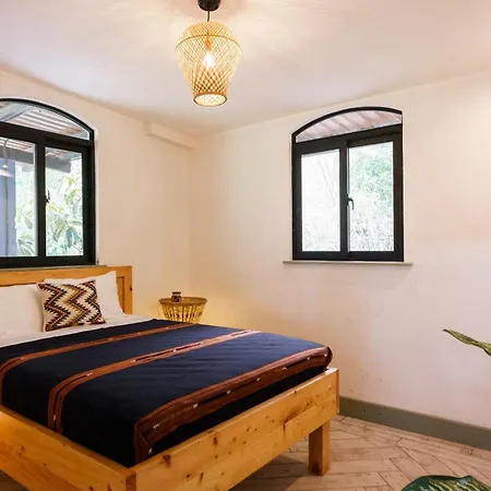 Love Probiotics Lodge